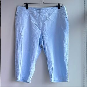 TALBOTS powder blue cargo pants.